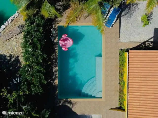 Villa Flamboyante | Curaçao, Banda Abou (ouest), Fontein - maison de vacances