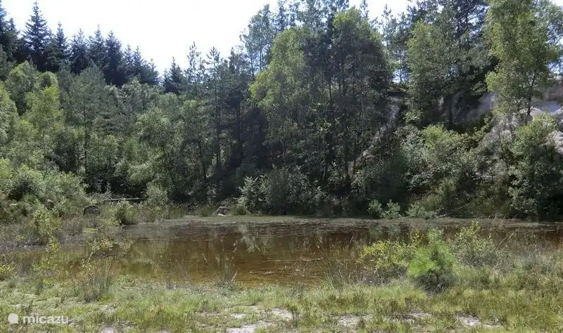 Ein weiteres Bild aus dem Besitz genommen von Natur aus offen kalin mir.