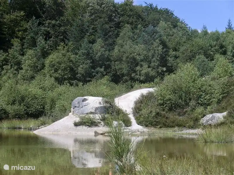 Auf diesem Bild sehen Sie, dass das Ausgangsmaterial ist oft weiß.