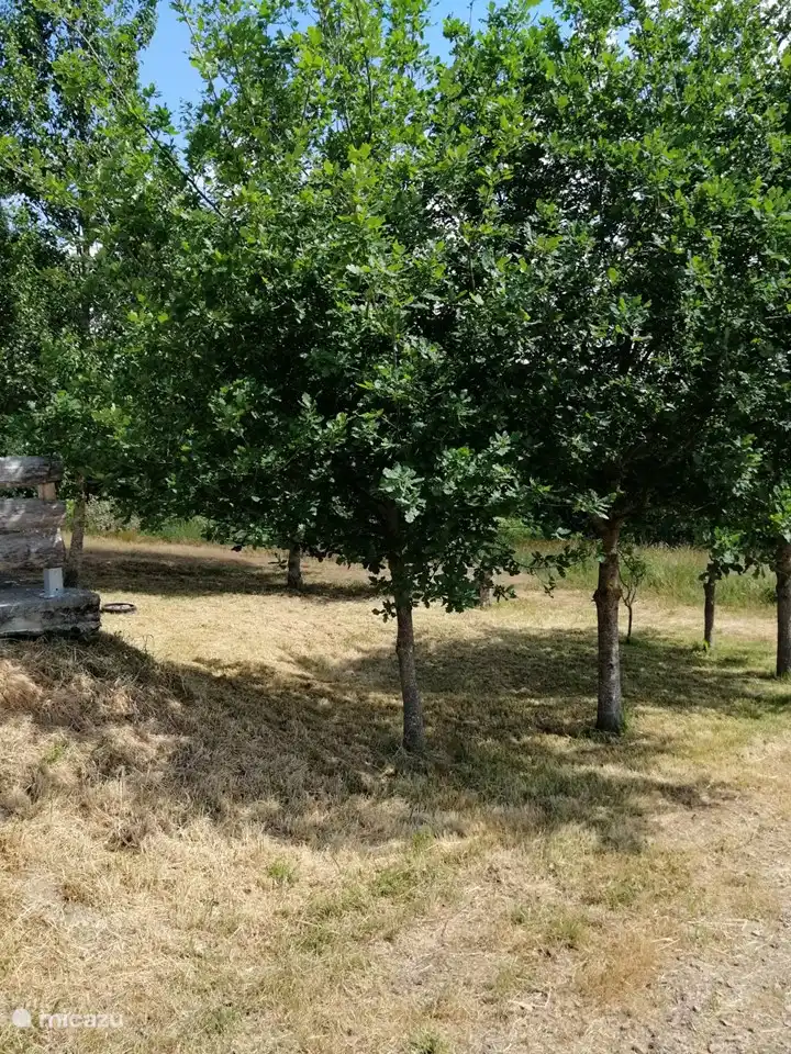 Von der Terrasse hat man einen guten Blick auf den Vorgarten, wo sich im Sommer das Kinderbecken befindet.