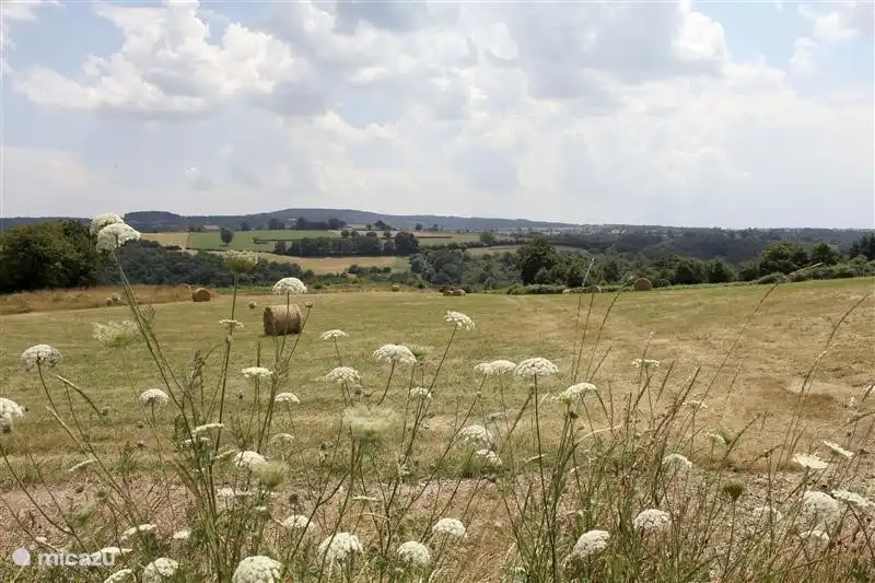 Der Blick von der Mobil Home auf unserem Grundstück von 16 Hektar. wo man wandern kann und mit etwas Glück kann man noch beobachten einige Tiere!