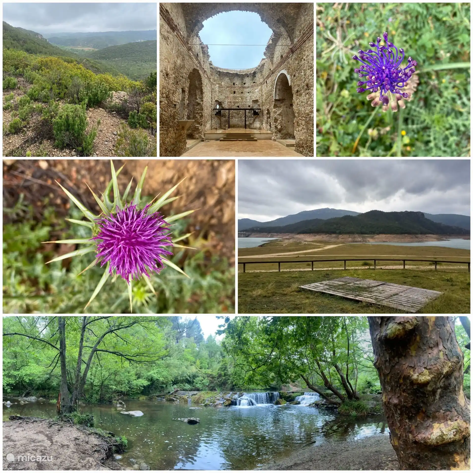 Wunderschöne Natur in der Umgebung.