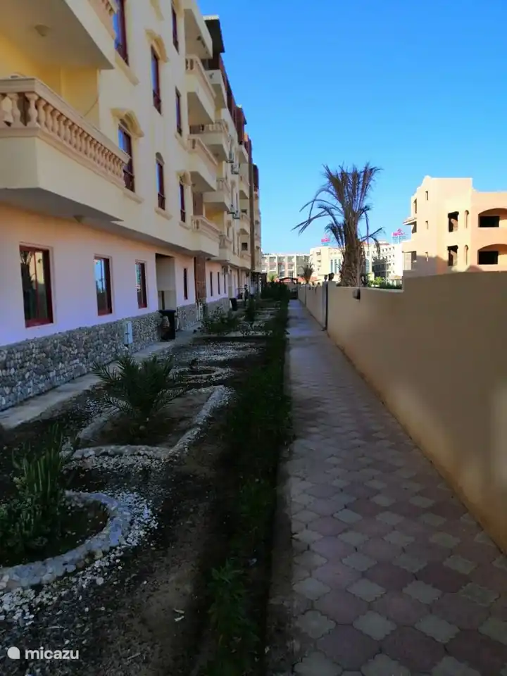 Le complexe contient un jardin soigneusement aménagé.