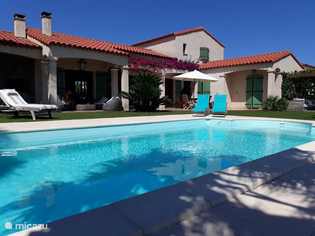 Un jardin ensoleillé avec de nombreux coins ombragés