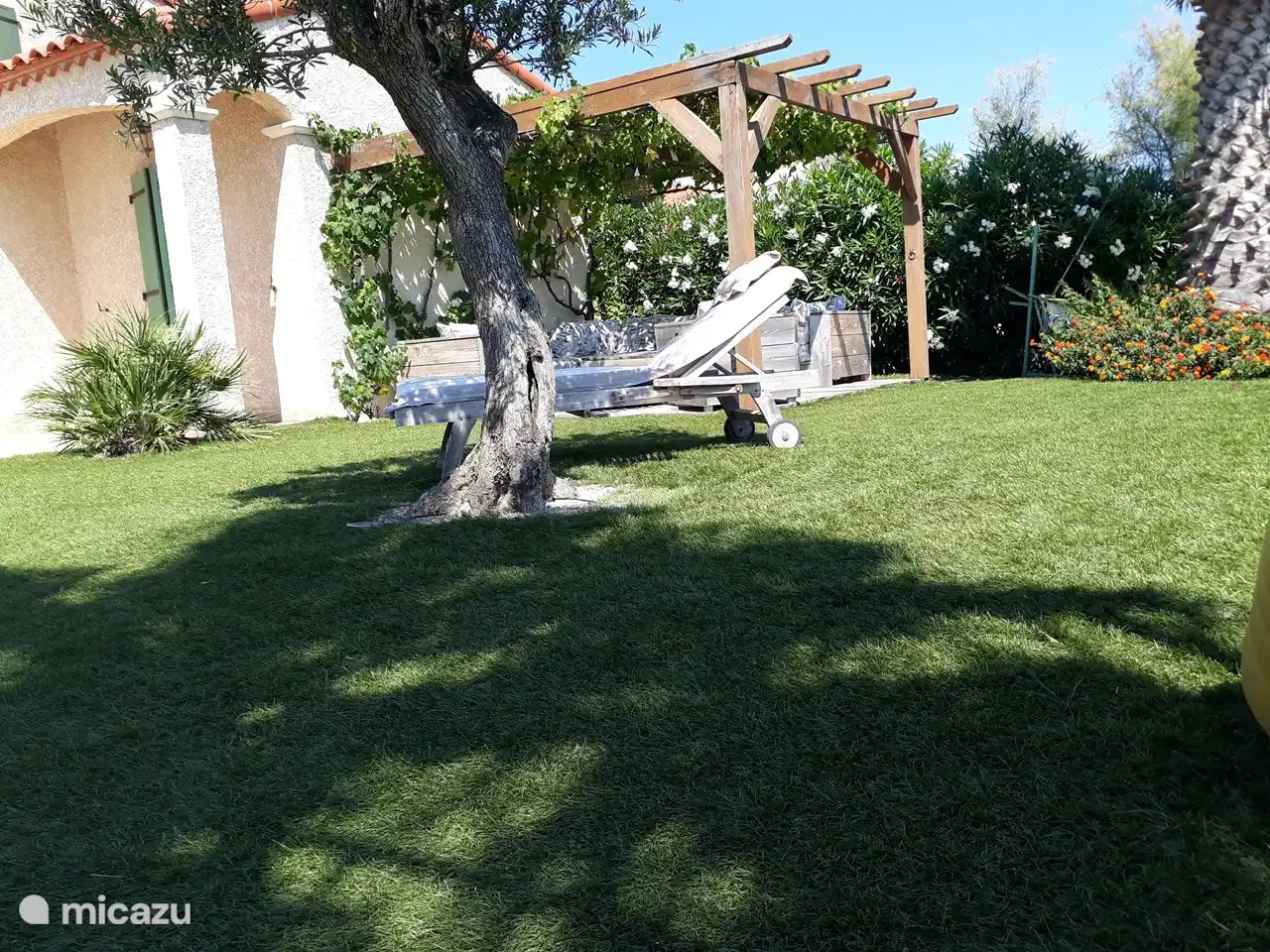 Beaucoup de fleurs et de plantes colorées