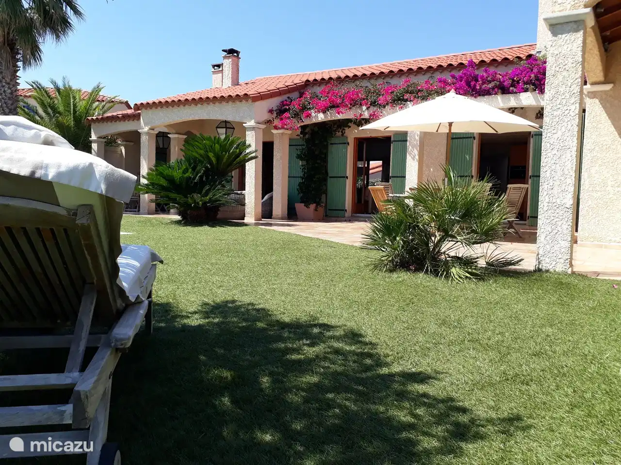 Le bougainvillier richement fleuri, un auvent naturel