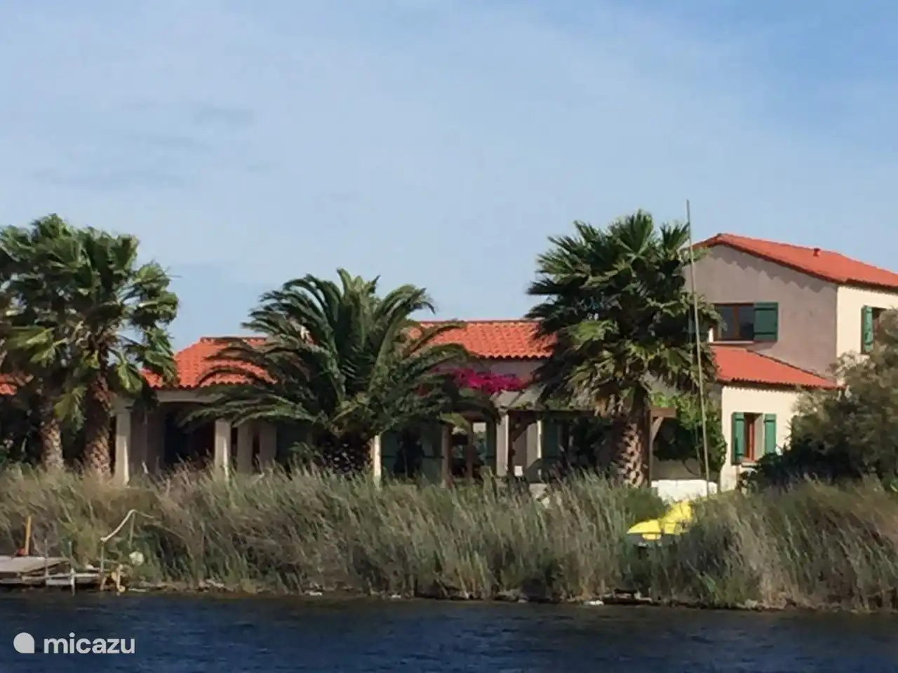 À moitié caché derrière les palmes et le collier de roseau