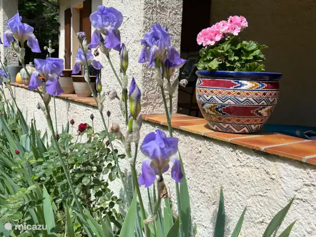 Justamont | France, Ardèche, Joannas - maison de vacances