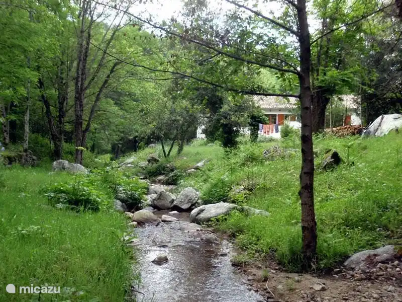 Bach hinter dem Haus.