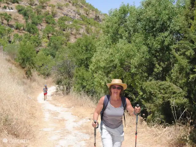 Lasnavillasmm 14 huren in Spanje, Andalusië, Montefrio - vakantiehuis wandelwegen op ieders maat