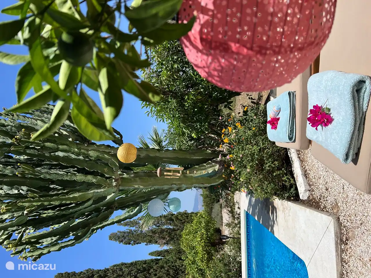 Fam. Van der Reijken