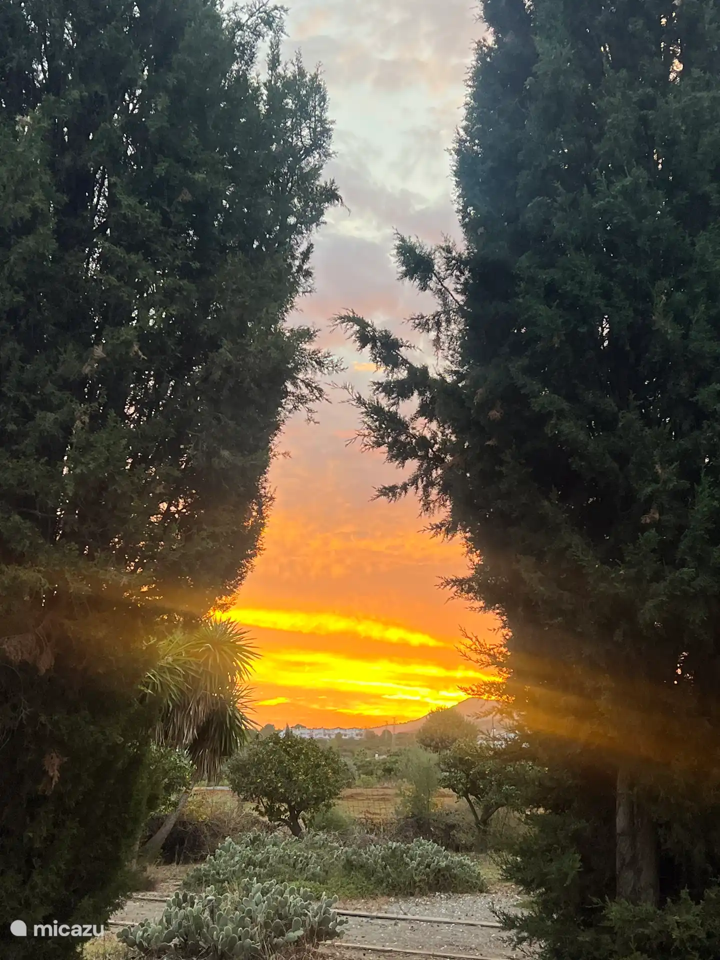 Garten/Obstgarten der Casita