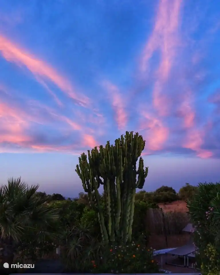 Jede Nacht eine andere atemberaubende Farbpalette am Himmel. Zu genießen!