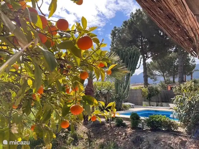 Casa PiPa