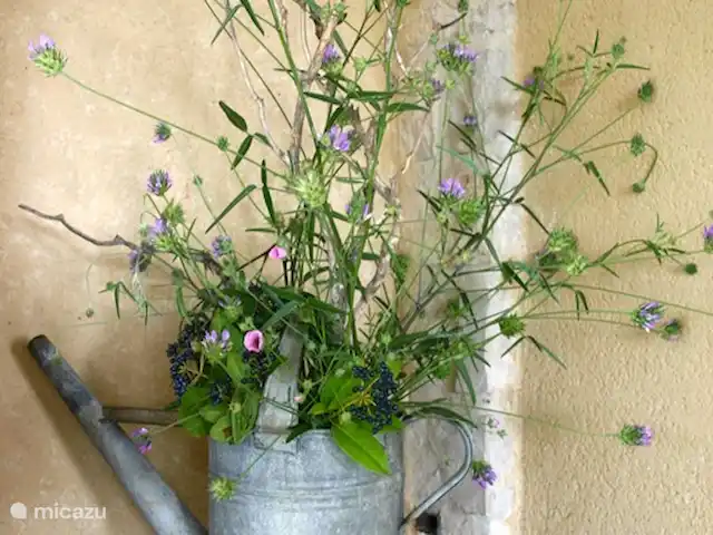 Villa Les Trois Pins | France, Vaucluse, Vaison-la-Romaine - villa Terrasse à l'étage
