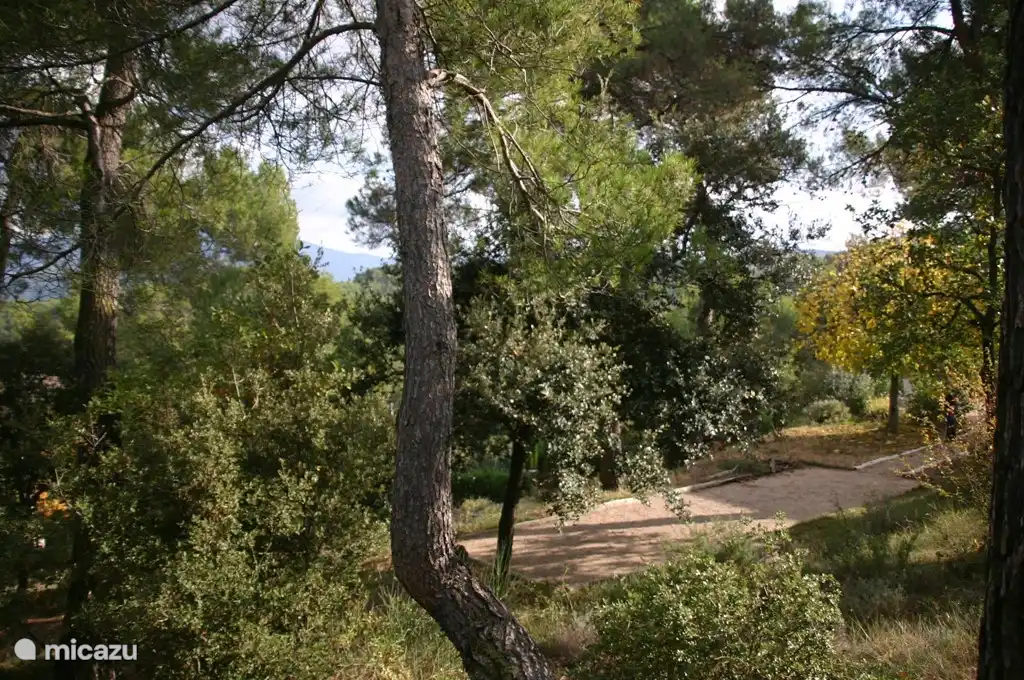 Pista del jeu de petanca