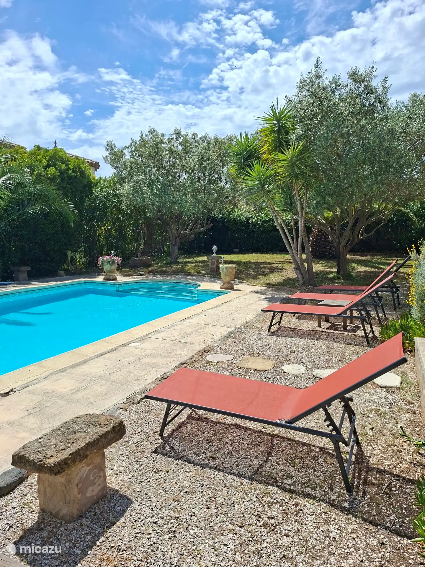 Der Garten mit dem Swimmingpool 