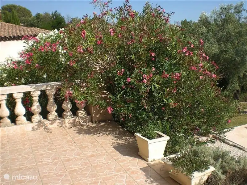 Die Terrasse im Erdgeschoss.