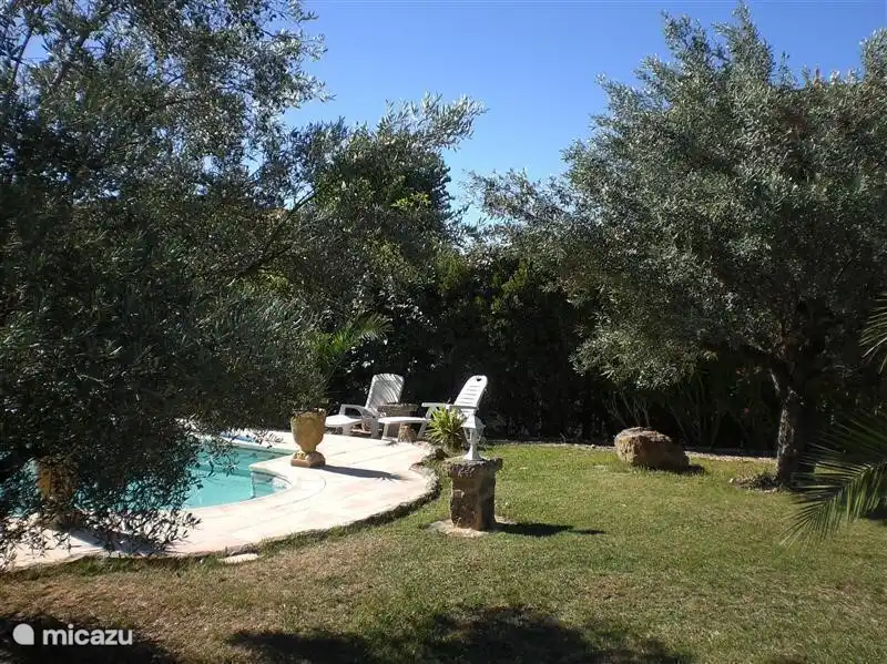 Der Garten mit Pool.