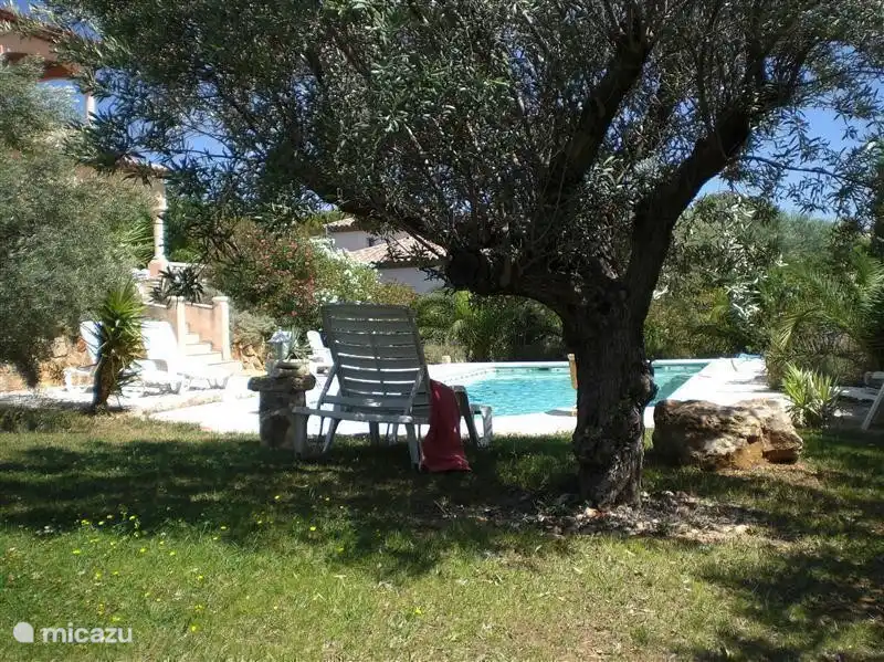 Der Garten mit Olivenbäumen und einem Swimmingpool.