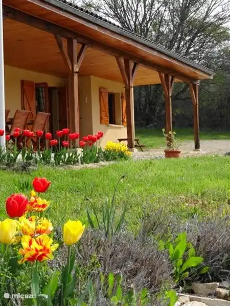 Schöne Blumen rund um das Haus