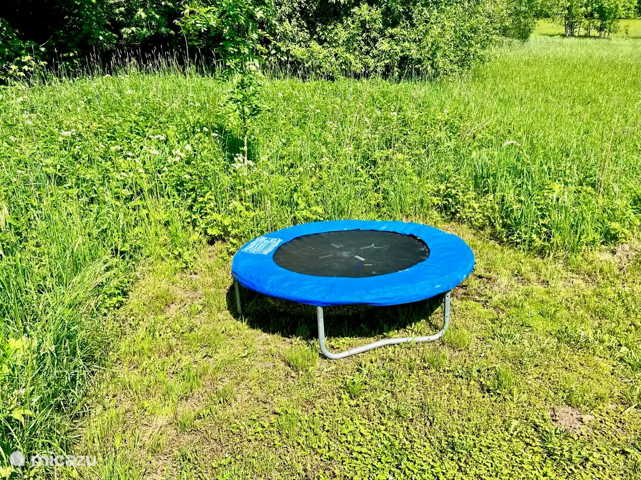 Für die kleinen Abenteurer: ein Trampolin zum Springen und Spaß haben. Perfekt für aktive Kinder, während die Eltern die Ruhe genießen.