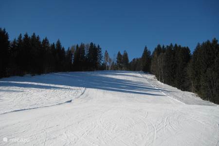 Skifahren in Kötschach und Umwelt