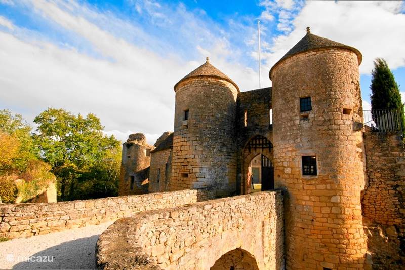 Vacation rental France, Dordogne, Milhac Manor / Castle Chateau Lotoise
