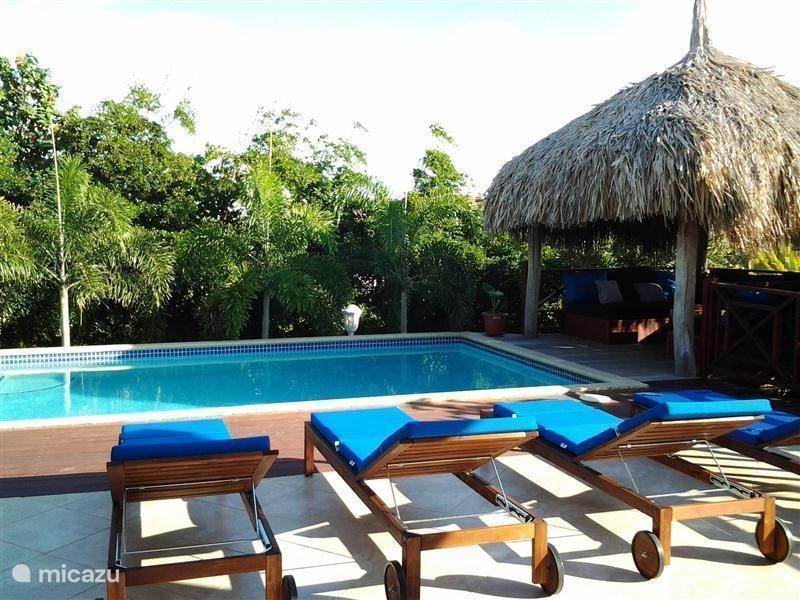 Vakantiehuis Curaçao, Banda Ariba (oost), Jan Thiel Bed & Breakfast Hibiscus Beach house Curacao