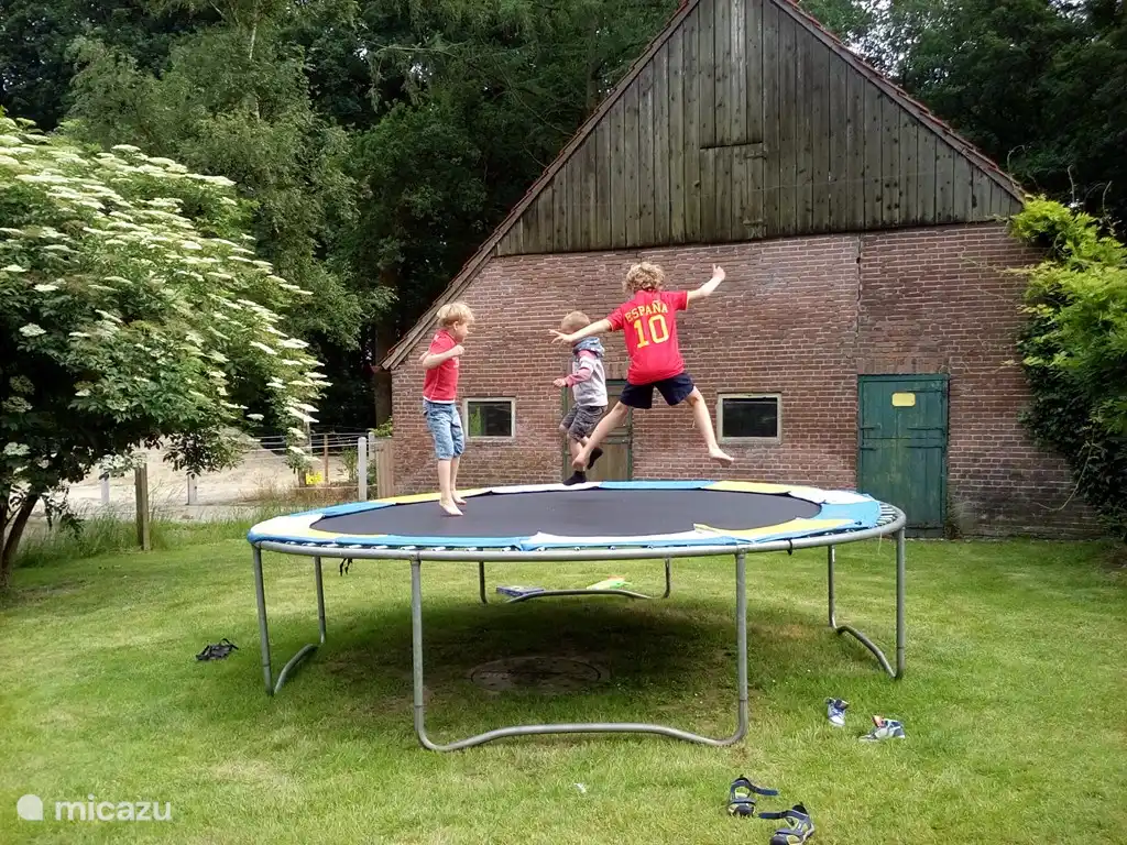 Für Kinder gibt es ein Trampolin, eine Schaukel, einen Basketball, Fußball und Badminton-Schläger.