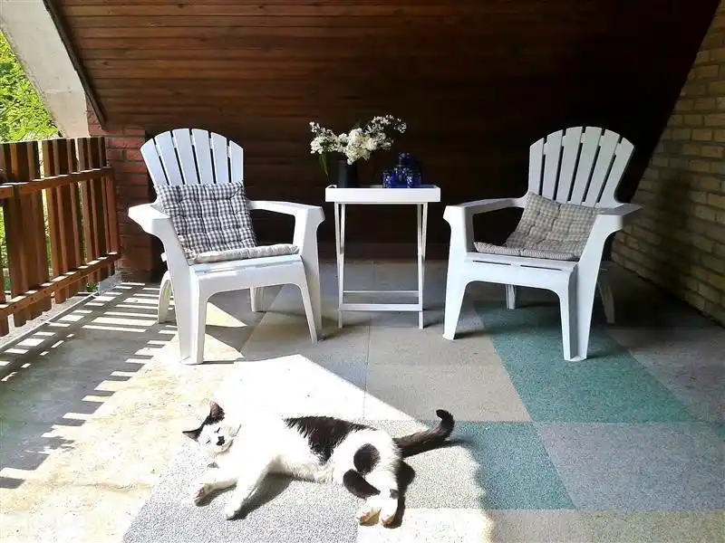 Haustiere sind willkommen!