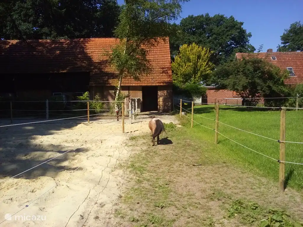Die Pferdewiese mit  Blick auf die Scheune und Haus.