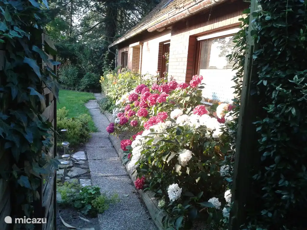 Der Garten auf der Westseite. Rechts oben können Sie das Küchenfenster sehen.