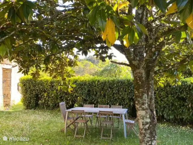 vakantiehuis huren in Frankrijk, Dordogne, Saint-Amand-de-Coly – Figuier Een eettafel met stoelen in de tuin