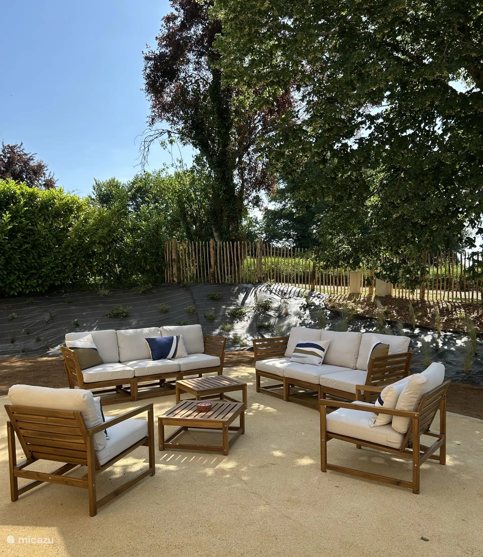 Genieten in de schaduw