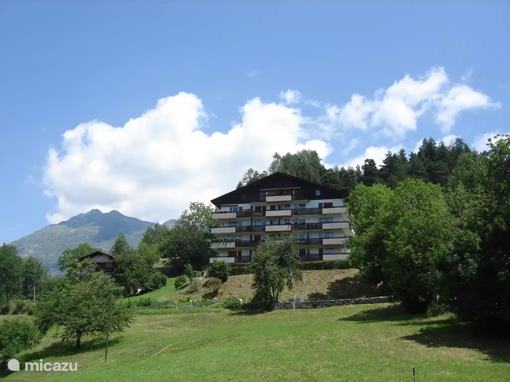 Konkordia en el verano