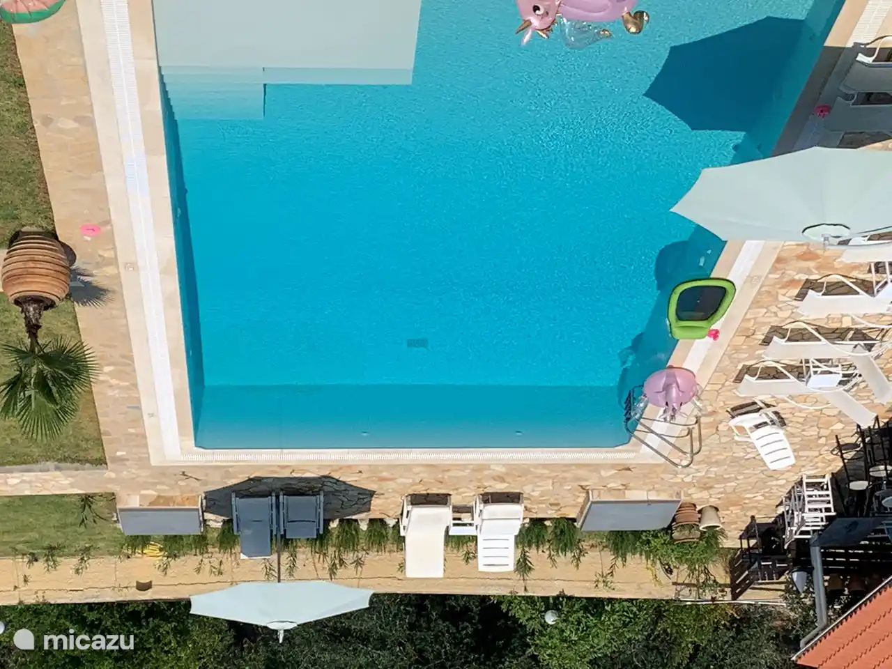 Blick aus dem Haus in den Garten