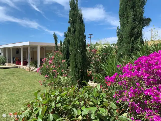Villa Eleni Corfou - Acharavi | Grèce, Corfou, Acharavi - maison de vacances Jardin