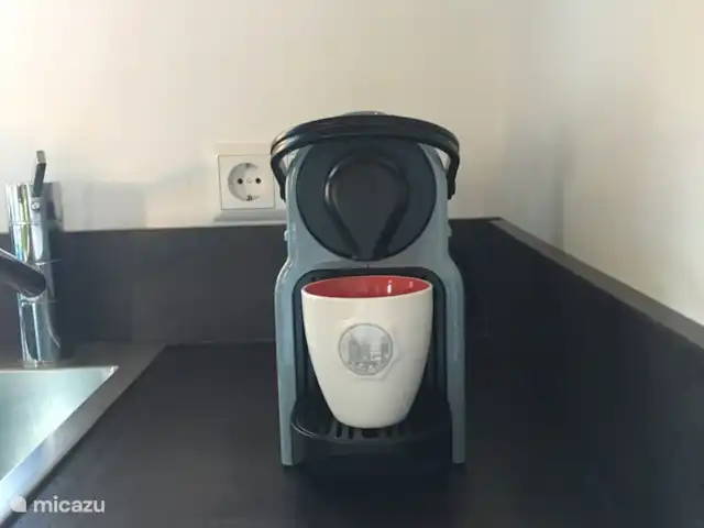 Haus Fingerhut huren in Oostenrijk, Karinthië, Kötschach-Mauthen - vakantiehuis Nespresso machine, naast een normaal koffiezetapparaat, aanwezig.