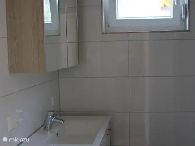 Haus Fingerhut huren in Oostenrijk, Karinthië, Kötschach-Mauthen - vakantiehuis Wastafelcombinatie met spiegelkast.
