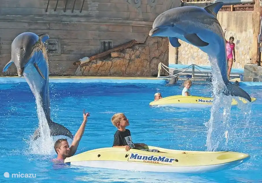 Delphinarium Mundomar, Benidorm