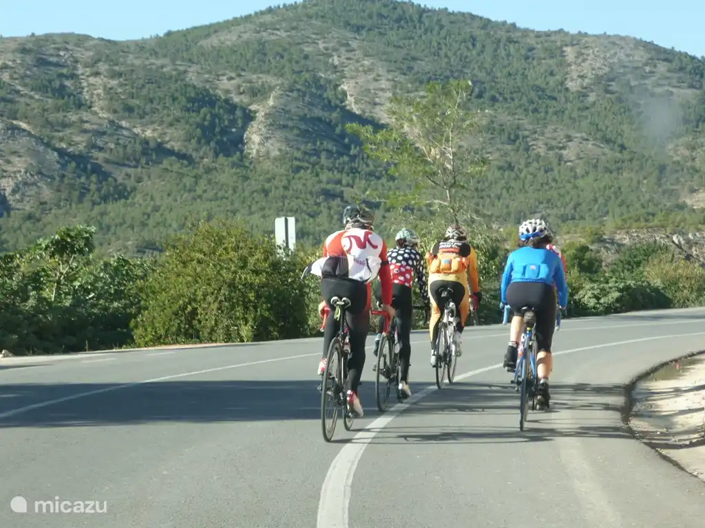 Die Berge von Relleu sind sehr beliebt bei Radfahrern. Mehrere Radsport-Teams trainieren in diesem Bereich und übergeben Sie die Villa gefahren. Wir haben eine Preisabsprache mit http://www.topbikesrental.com/ und können einen Rabatt zu arrangieren, wenn Sie hier Fahrräder mieten.