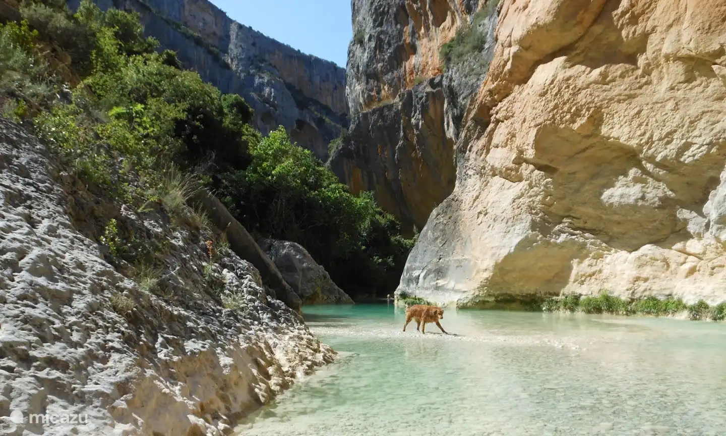 Lots of water nearby