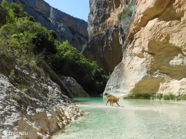finca en España, Pirineos españoles , Juseu – Casa Milan en Juseu Finca Retreat Mucha agua cerca