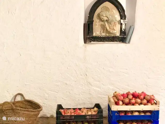 finca en España, Pirineos españoles , Juseu – Casa Milan en Juseu Finca Retreat Granadas cosechadas para jugo fresco