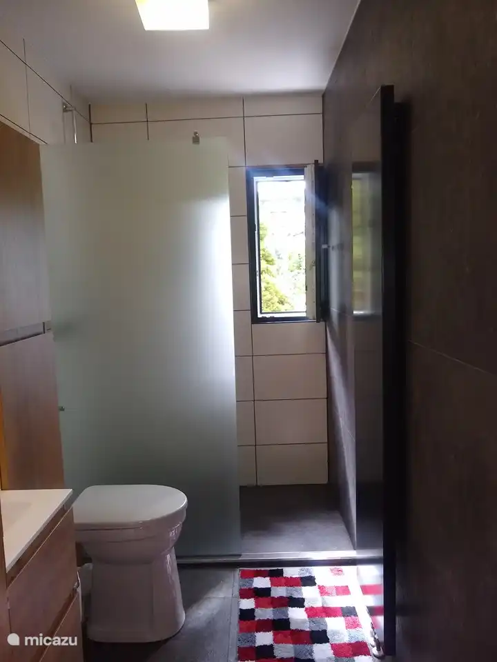 Renovated bathroom downstairs.