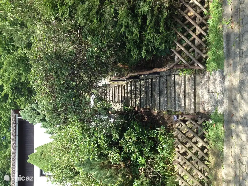 Staircase under the apple tree