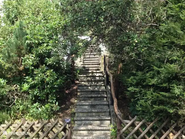 Wieda en Alemania, Baja Sajonia, Wieda - casa vacacional Escaleras bajo el manzano