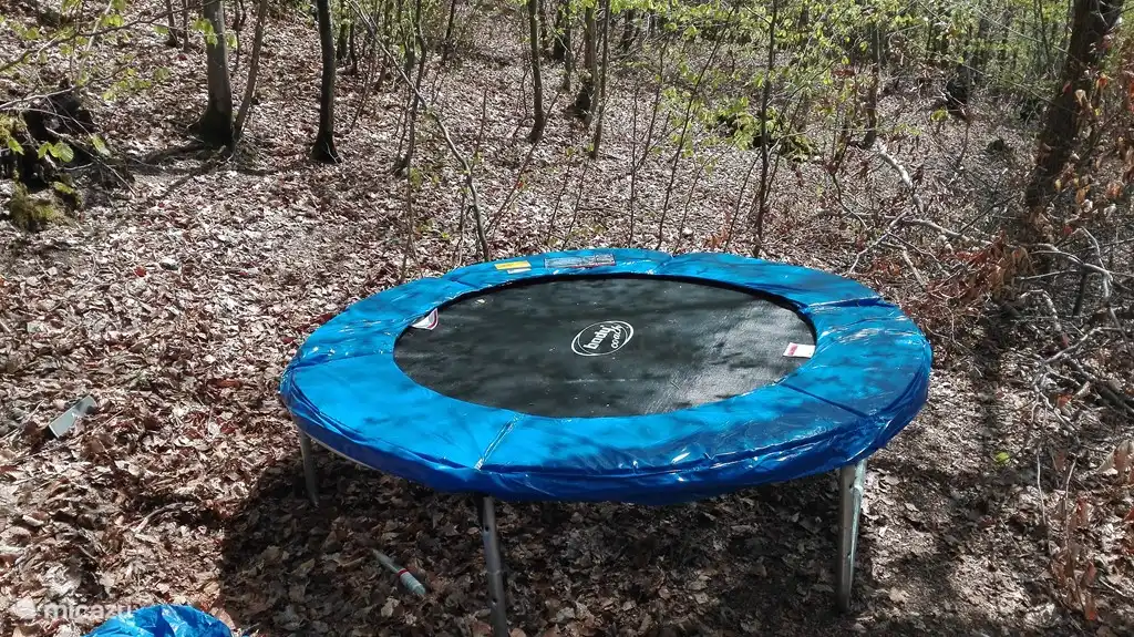 Trampoline.

A safety net is available for the little ones. 
