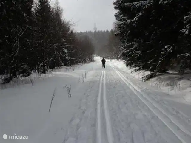Wieda en Alemania, Baja Sajonia, Wieda - casa vacacional En las cercanías de Wieda hay muchas oportunidades de esquí de fondo con pistas perfectamente preparadas.